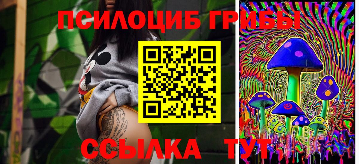 Псилоцибиновые грибы Psilocybine cubensis  Вход с VPN  Гагарин 