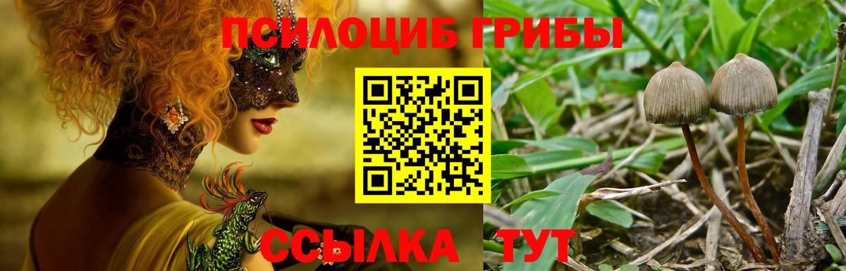 Псилоцибиновые грибы Magic Shrooms Гагарин